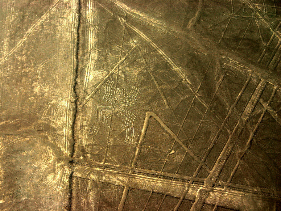 Nazca Lines Spider