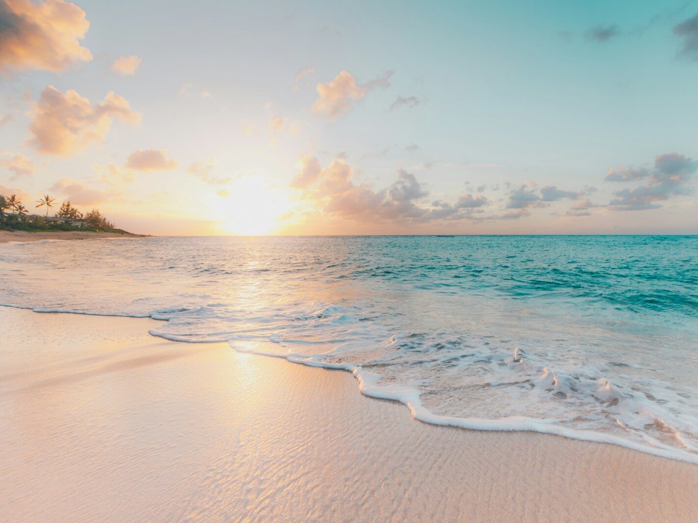seashore during golden hour