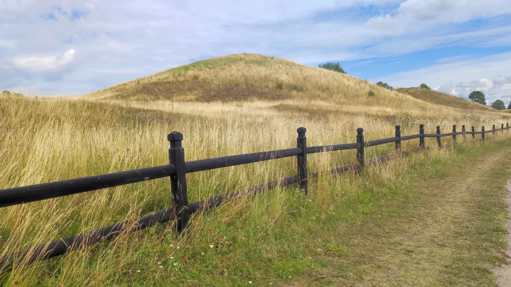 Mohyly ve Staré Uppsale