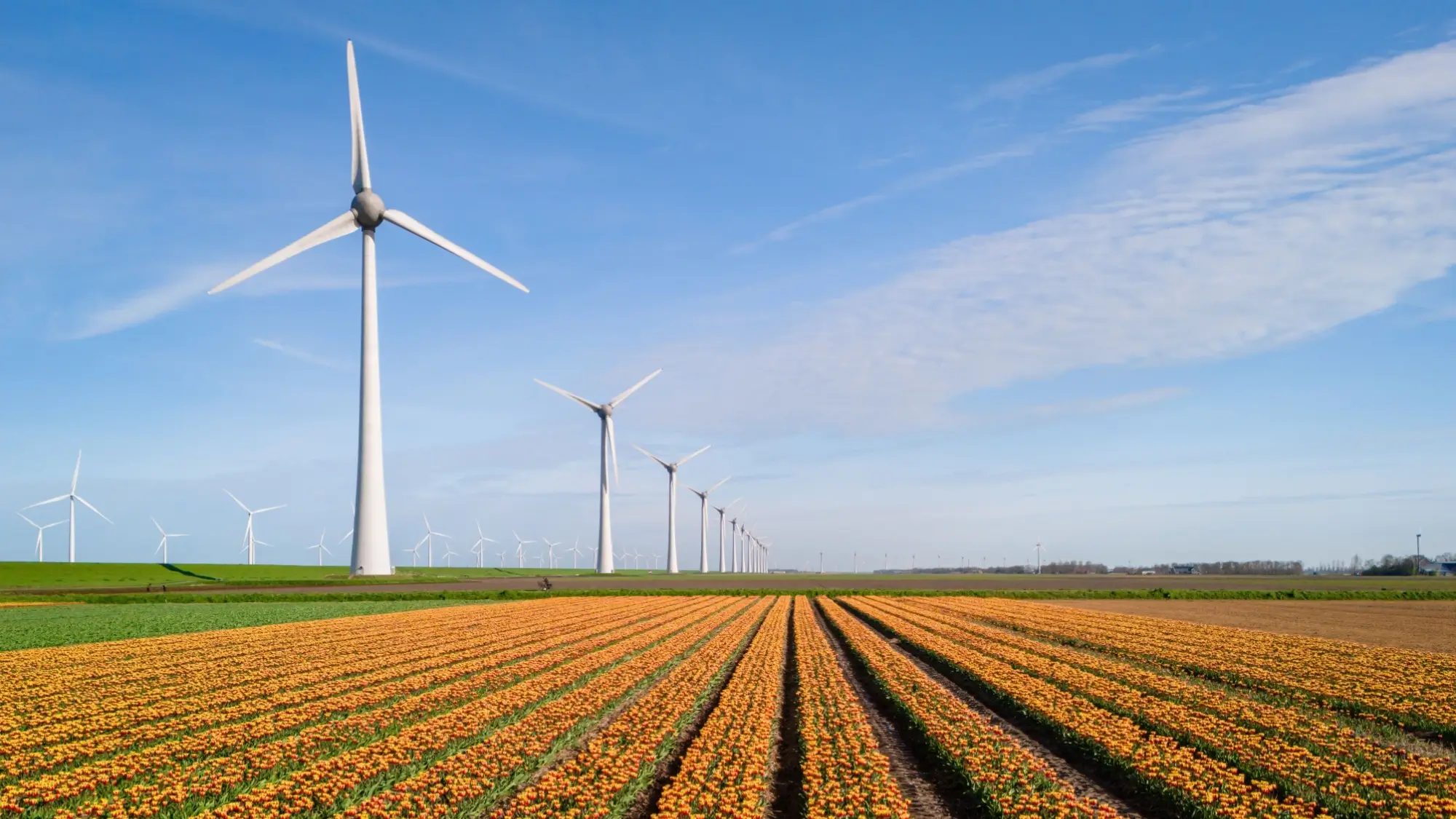 Pohled na větrné turbíny.